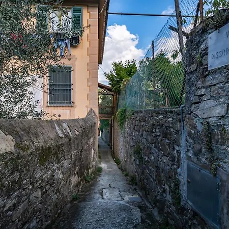 Villa Pissorella, Luxury In